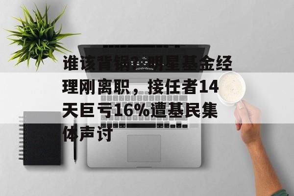 谁该背锅？明星基金经理刚离职，接任者14天巨亏16%遭基民集体声讨-第1张图片-
