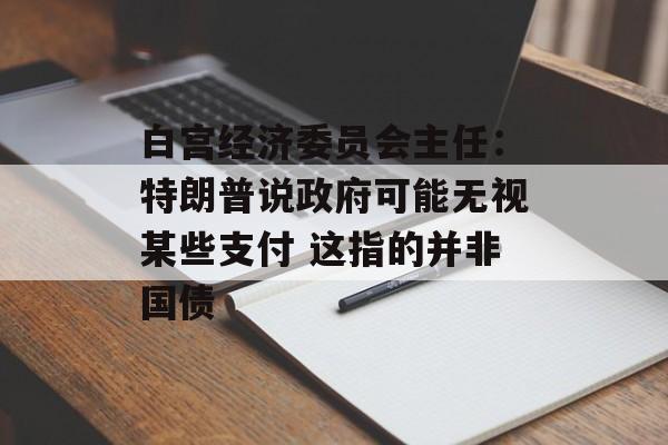 白宫经济委员会主任：特朗普说政府可能无视某些支付 这指的并非国债-第1张图片-