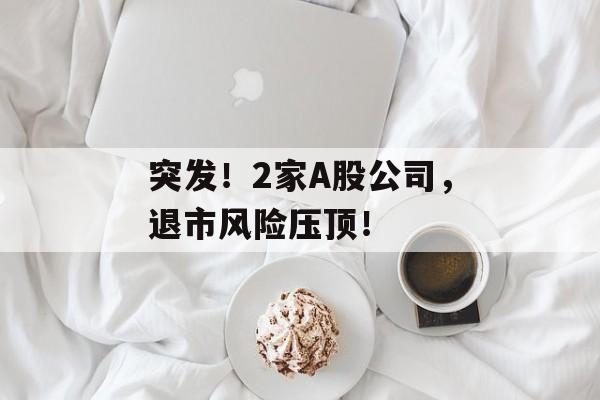 突发！2家A股公司，退市风险压顶！-第1张图片-