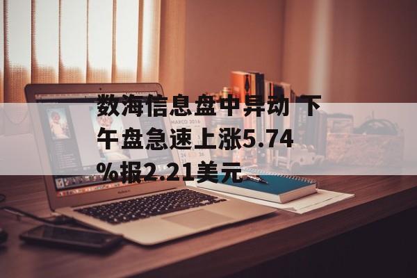 数海信息盘中异动 下午盘急速上涨5.74%报2.21美元-第1张图片-