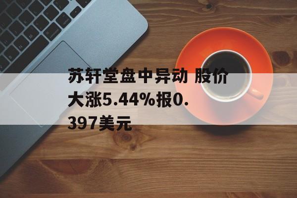 苏轩堂盘中异动 股价大涨5.44%报0.397美元-第1张图片-