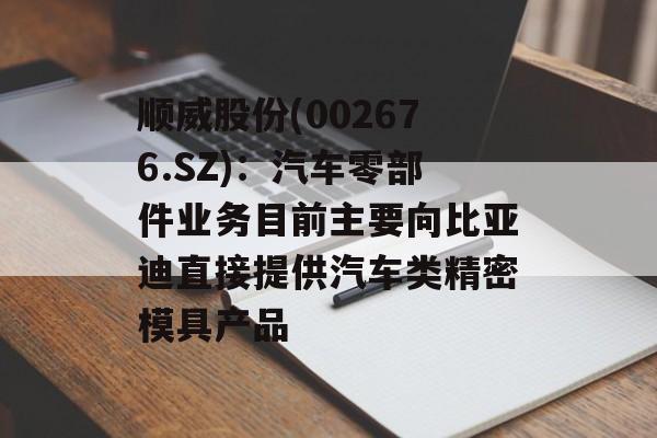 顺威股份(002676.SZ)：汽车零部件业务目前主要向比亚迪直接提供汽车类精密模具产品-第1张图片-