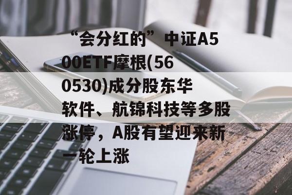 “会分红的”中证A500ETF摩根(560530)成分股东华软件、航锦科技等多股涨停，A股有望迎来新一轮上涨-第1张图片-
