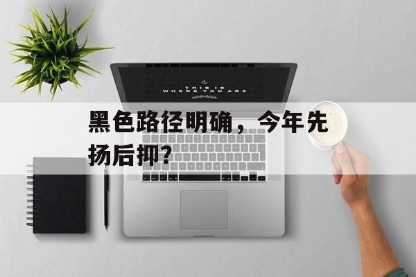 黑色路径明确，今年先扬后抑？-第1张图片-
