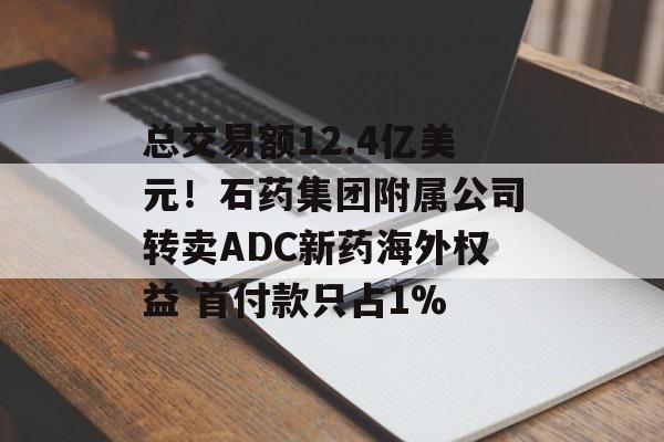 总交易额12.4亿美元！石药集团附属公司转卖ADC新药海外权益 首付款只占1%-第1张图片-