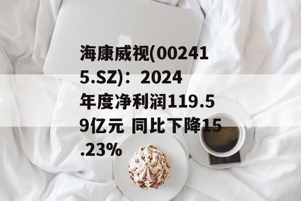 海康威视(002415.SZ)：2024年度净利润119.59亿元 同比下降15.23%-第1张图片-