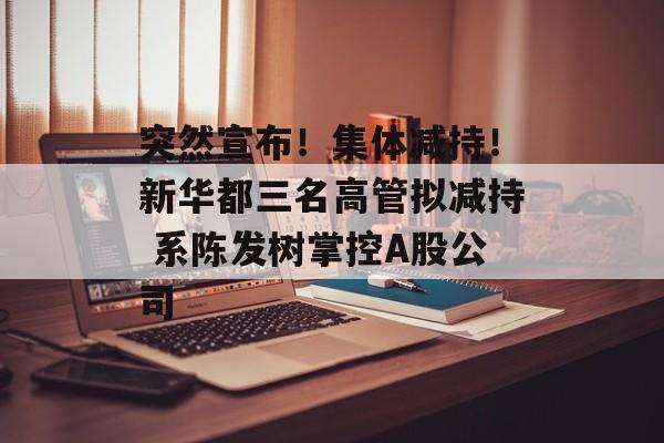 突然宣布！集体减持！新华都三名高管拟减持 系陈发树掌控A股公司-第1张图片-