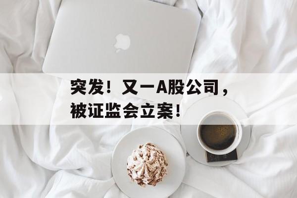 突发！又一A股公司，被证监会立案！-第1张图片-
