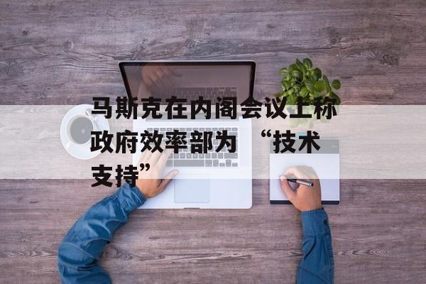 马斯克在内阁会议上称政府效率部为 “技术支持”-第1张图片-