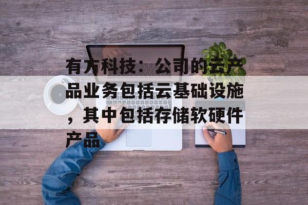 有方科技：公司的云产品业务包括云基础设施，其中包括存储软硬件产品-第1张图片-