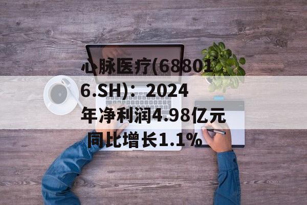 心脉医疗(688016.SH)：2024年净利润4.98亿元 同比增长1.1%-第1张图片-