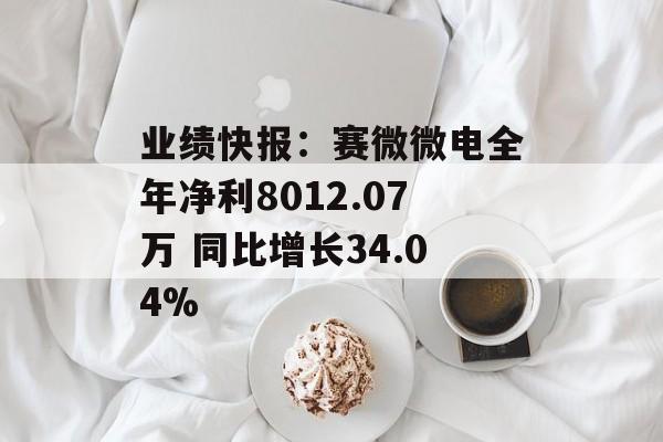 业绩快报：赛微微电全年净利8012.07万 同比增长34.04%-第1张图片-