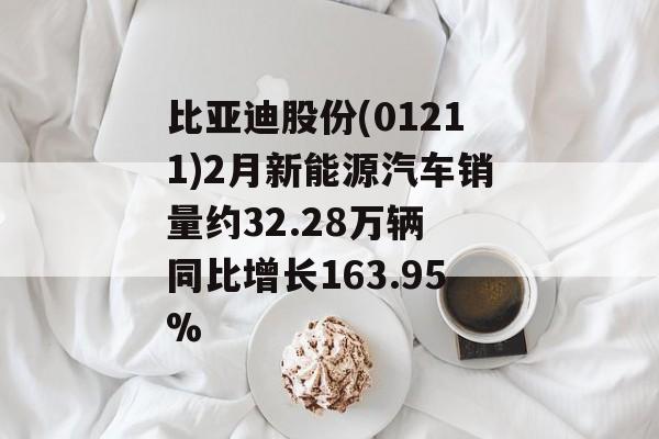 比亚迪股份(01211)2月新能源汽车销量约32.28万辆 同比增长163.95%-第1张图片-