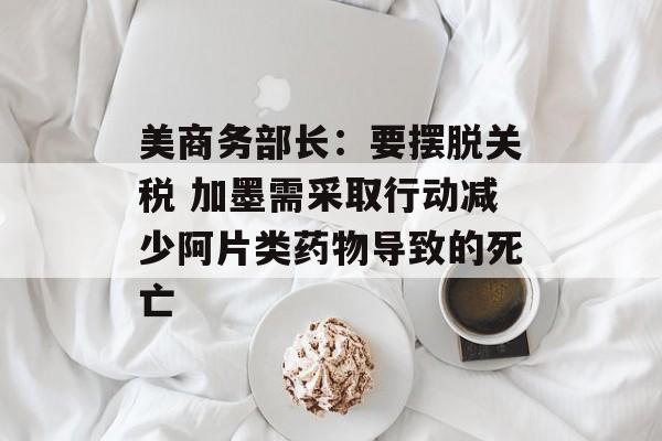 美商务部长：要摆脱关税 加墨需采取行动减少阿片类药物导致的死亡-第1张图片-