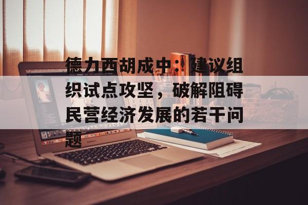 德力西胡成中：建议组织试点攻坚，破解阻碍民营经济发展的若干问题-第1张图片-