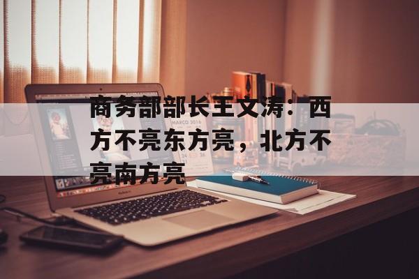 商务部部长王文涛：西方不亮东方亮，北方不亮南方亮-第1张图片-