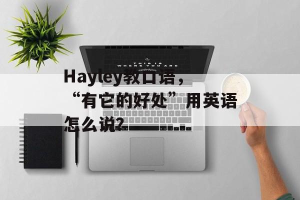 Hayley教口语，“有它的好处”用英语怎么说？-第1张图片-