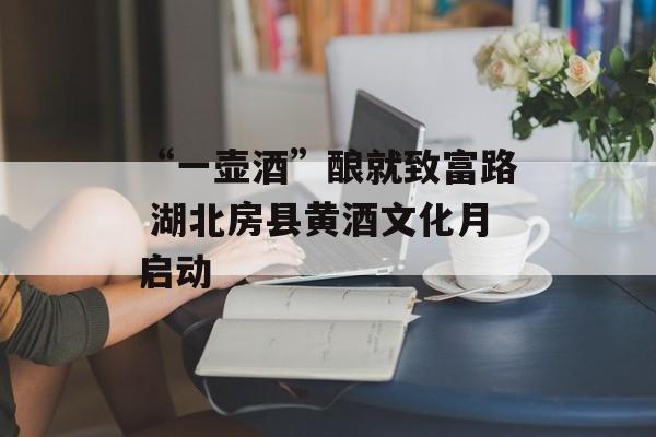 “一壶酒”酿就致富路 湖北房县黄酒文化月启动-第1张图片-