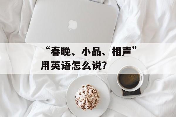 “春晚、小品、相声”用英语怎么说？-第1张图片-