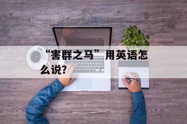 “害群之马”用英语怎么说？-第1张图片-