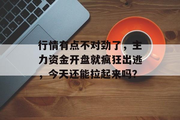行情有点不对劲了，主力资金开盘就疯狂出逃，今天还能拉起来吗？-第1张图片-
