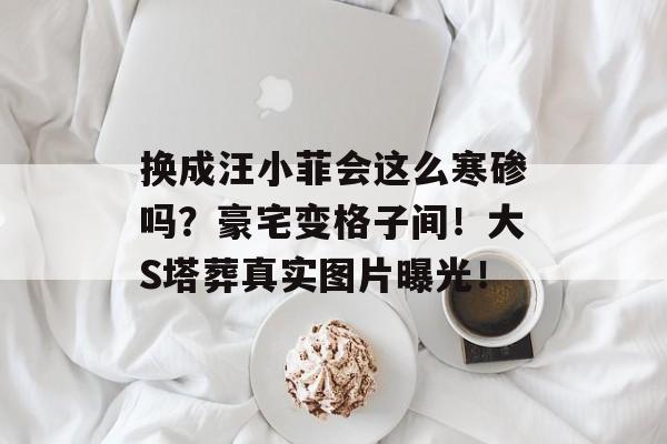 换成汪小菲会这么寒碜吗？豪宅变格子间！大S塔葬真实图片曝光！-第1张图片-
