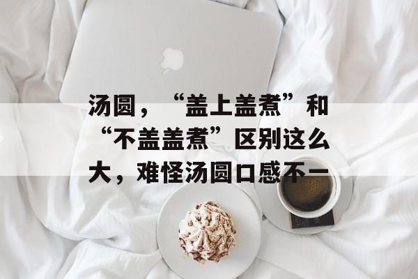 汤圆，“盖上盖煮”和“不盖盖煮”区别这么大，难怪汤圆口感不一-第1张图片-