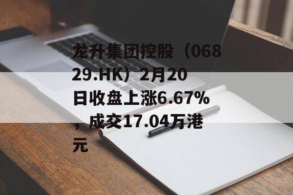 龙升集团控股（06829.HK）2月20日收盘上涨6.67%，成交17.04万港元-第1张图片-