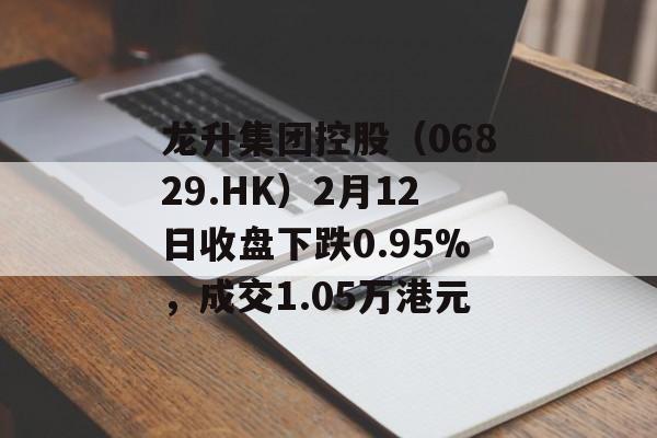龙升集团控股（06829.HK）2月12日收盘下跌0.95%，成交1.05万港元-第1张图片-