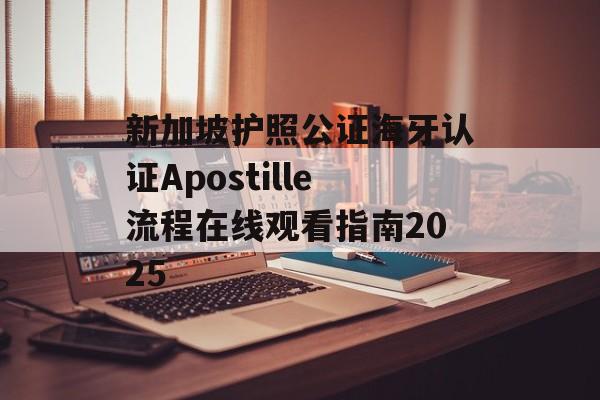 新加坡护照公证海牙认证Apostille流程在线观看指南2025-第1张图片-