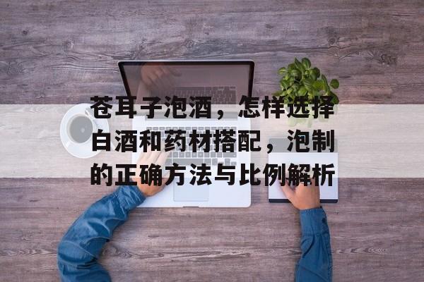 苍耳子泡酒，怎样选择白酒和药材搭配，泡制的正确方法与比例解析-第1张图片-