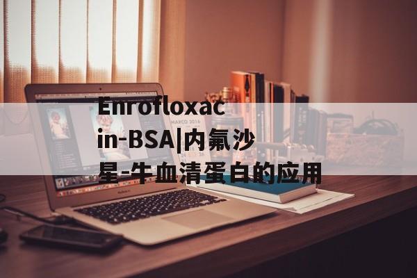 Enrofloxacin-BSA|内氟沙星-牛血清蛋白的应用-第1张图片-