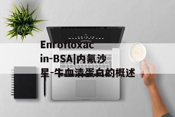 Enrofloxacin-BSA|内氟沙星-牛血清蛋白的概述-第1张图片-