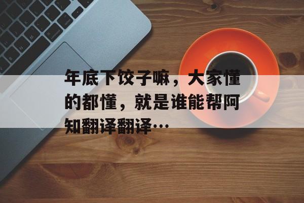 年底下饺子嘛，大家懂的都懂，就是谁能帮阿知翻译翻译…-第1张图片-
