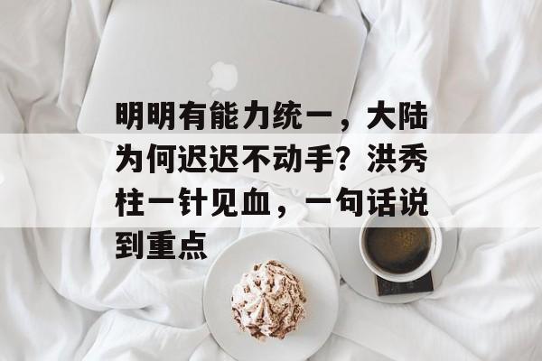 明明有能力统一，大陆为何迟迟不动手？洪秀柱一针见血，一句话说到重点-第1张图片-