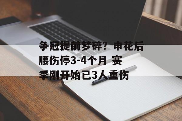 争冠提前梦碎？申花后腰伤停3-4个月 赛季刚开始已3人重伤-第1张图片-