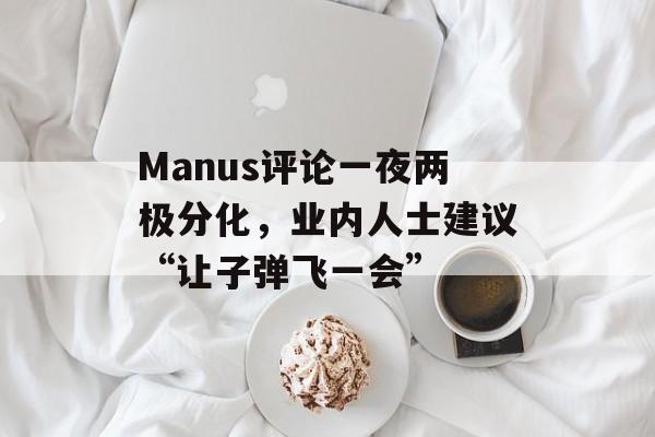 Manus评论一夜两极分化，业内人士建议“让子弹飞一会”-第1张图片-