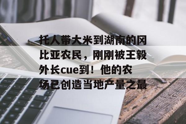托人带大米到湖南的冈比亚农民，刚刚被王毅外长cue到！他的农场已创造当地产量之最-第1张图片-
