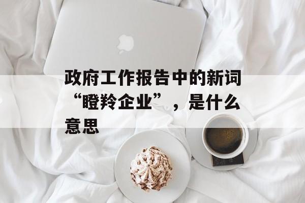 政府工作报告中的新词“瞪羚企业”，是什么意思-第1张图片-