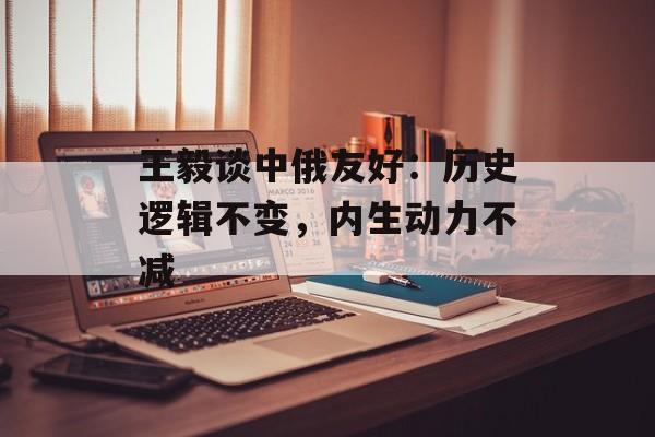 王毅谈中俄友好：历史逻辑不变，内生动力不减-第1张图片-