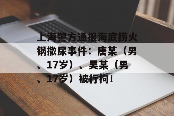上海警方通报海底捞火锅撒尿事件：唐某（男、17岁）、吴某（男、17岁）被行拘！-第1张图片-
