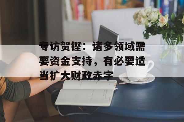 专访贺铿：诸多领域需要资金支持，有必要适当扩大财政赤字-第1张图片-