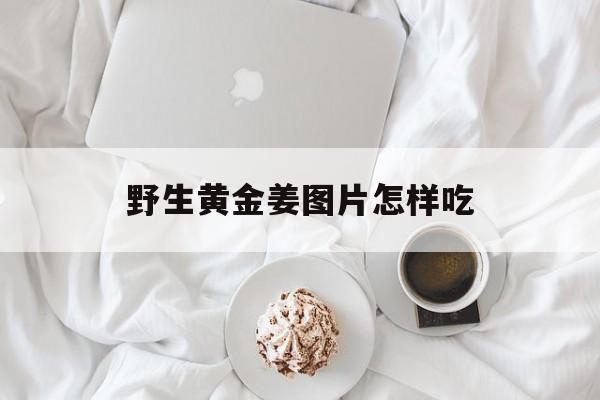 野生黄金姜图片怎样吃-第1张图片-