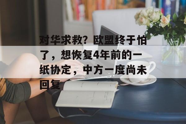 对华求救？欧盟终于怕了，想恢复4年前的一纸协定，中方一度尚未回复-第1张图片-
