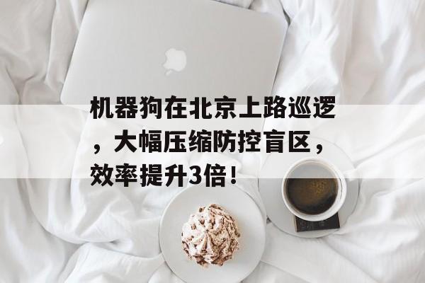 机器狗在北京上路巡逻，大幅压缩防控盲区，效率提升3倍！-第1张图片-