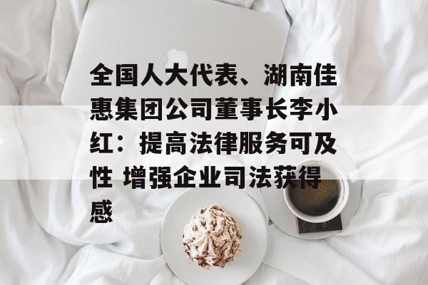 全国人大代表、湖南佳惠集团公司董事长李小红：提高法律服务可及性 增强企业司法获得感-第1张图片-