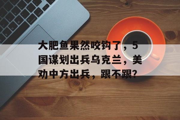 大肥鱼果然咬钩了，5国谋划出兵乌克兰，美劝中方出兵，跟不跟？-第1张图片-