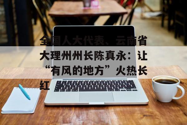 全国人大代表、云南省大理州州长陈真永：让“有风的地方”火热长红-第1张图片-