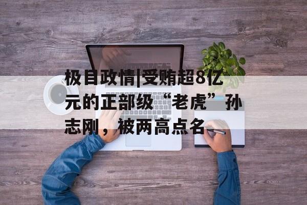 极目政情|受贿超8亿元的正部级“老虎”孙志刚，被两高点名-第1张图片-
