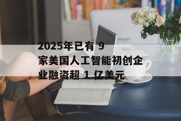 2025年已有 9 家美国人工智能初创企业融资超 1 亿美元-第1张图片-